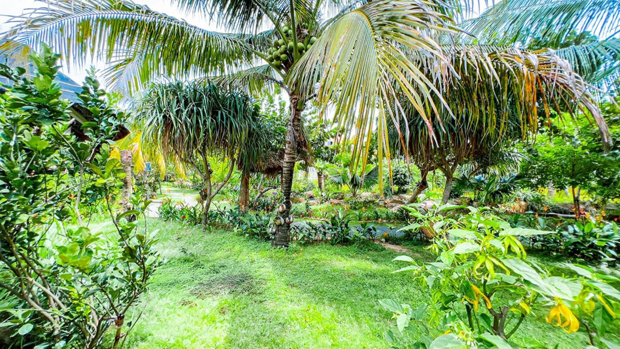 Me Bungalow Beach Resort Phan Thiết Ngoại thất bức ảnh