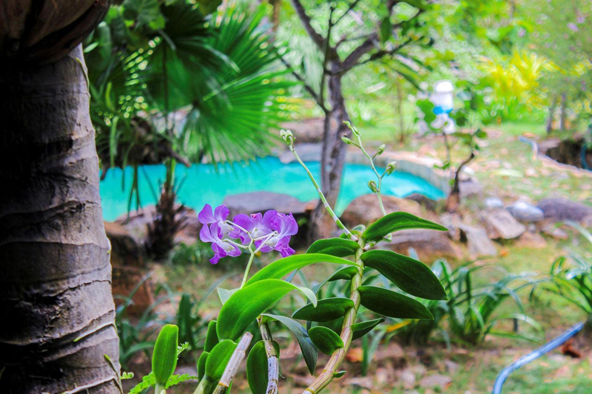Me Bungalow Beach Resort Phan Thiết Ngoại thất bức ảnh