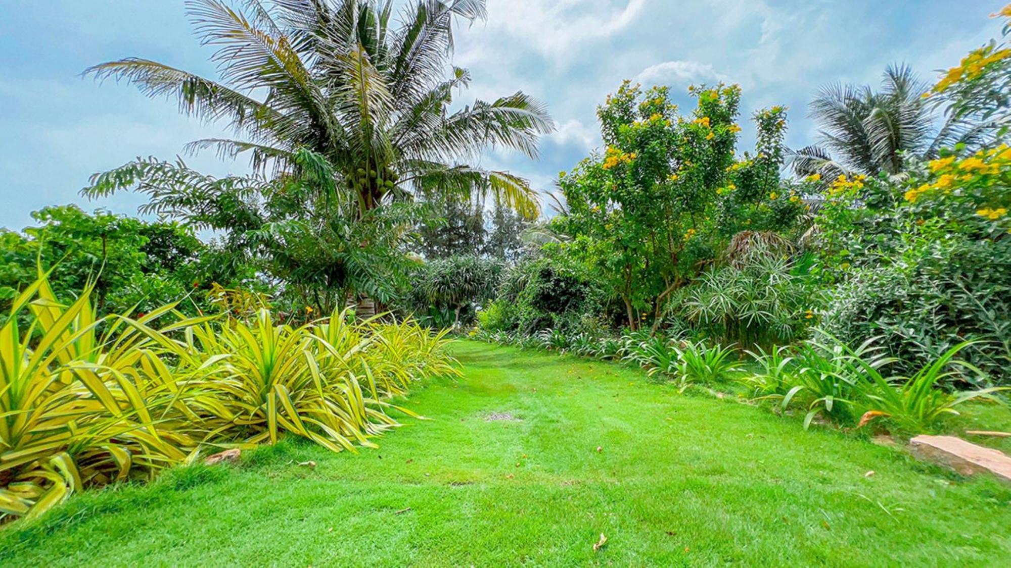 Me Bungalow Beach Resort Phan Thiết Ngoại thất bức ảnh